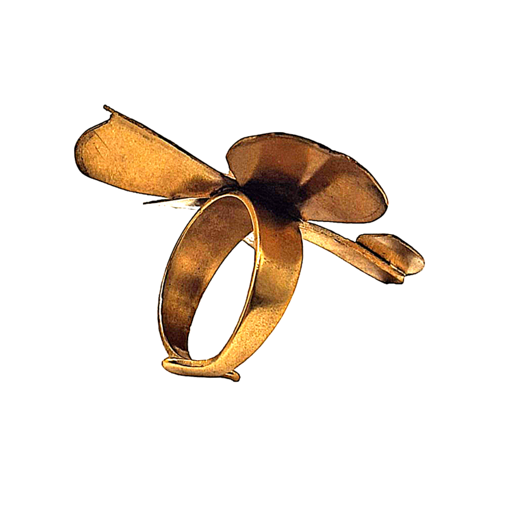 Trevia - Image 2