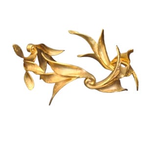 Eucalya